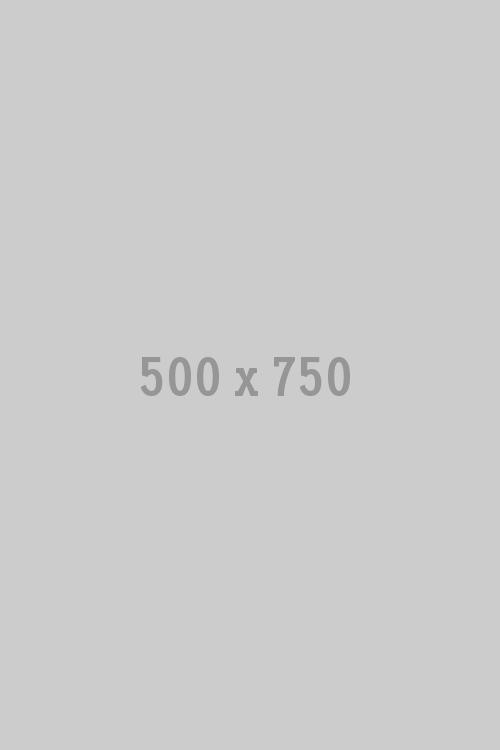 placehold.it-500x750